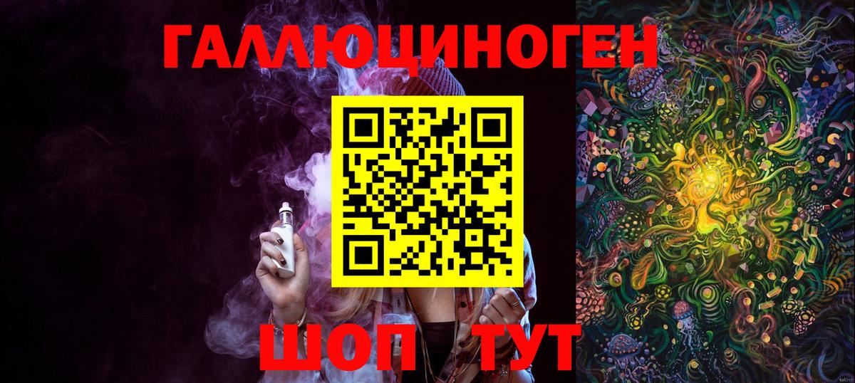 Галлюциногенные грибы Psilocybe Нововоронеж