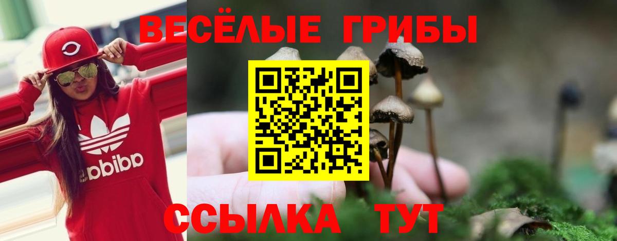 Нововоронеж  Галлюциногенные грибы MAGIC MUSHROOMS  Вход с VPN 